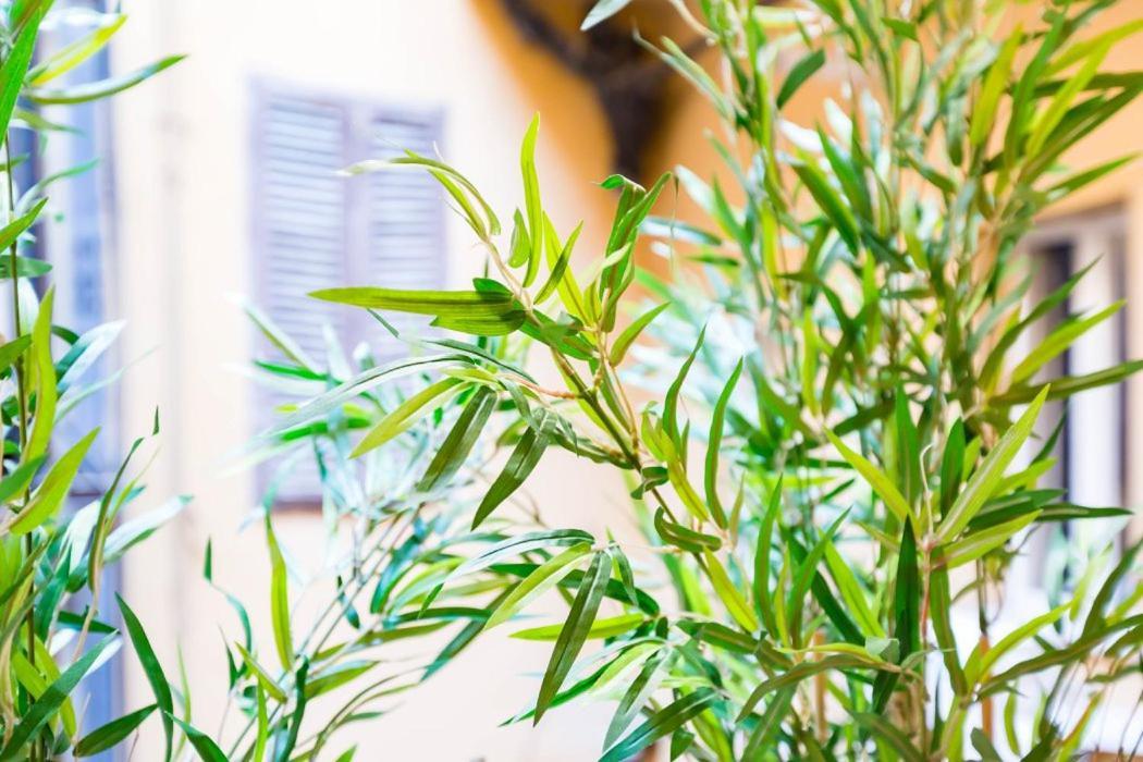 روما Spanish Step Nest Luxury المظهر الخارجي الصورة
